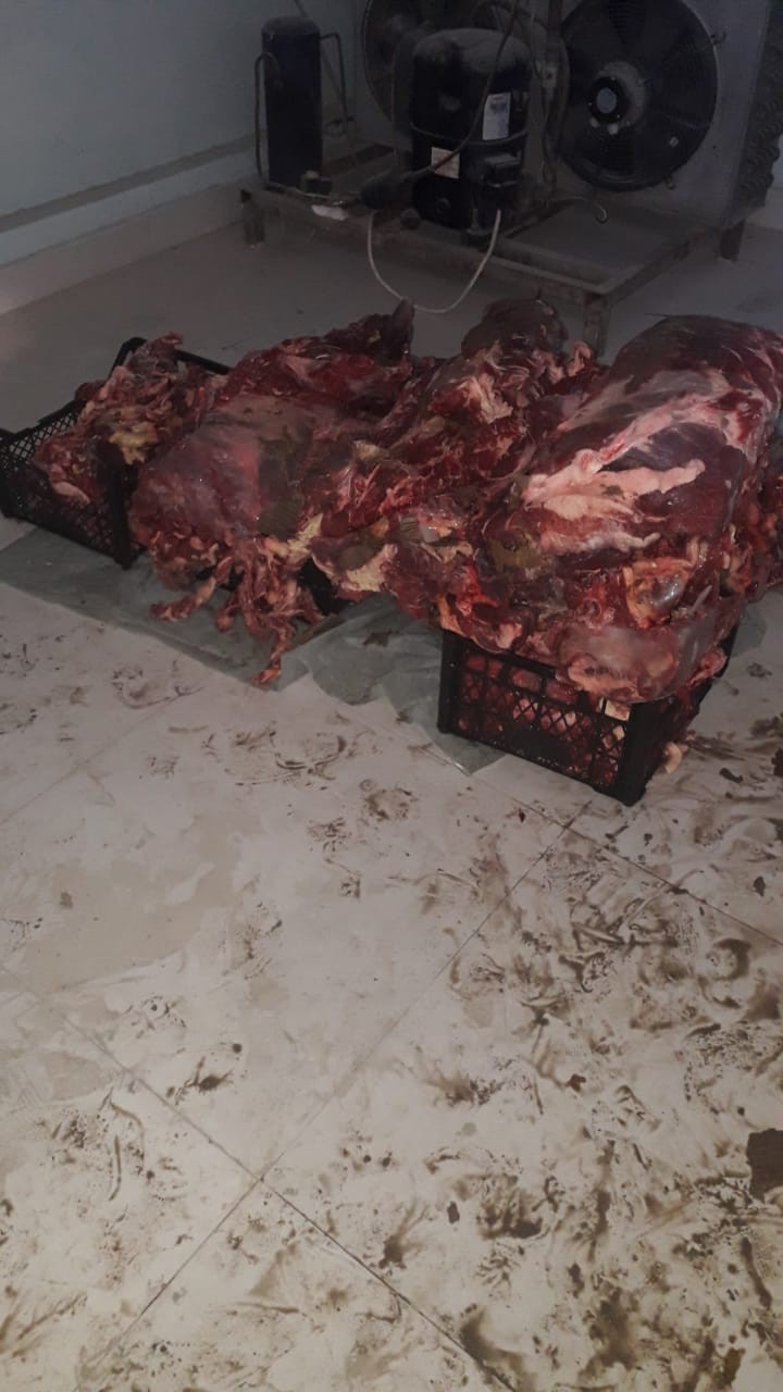 Bu dəfə leş ət satan “Bala Tofiq” ələ keçdi - FOTOLAR